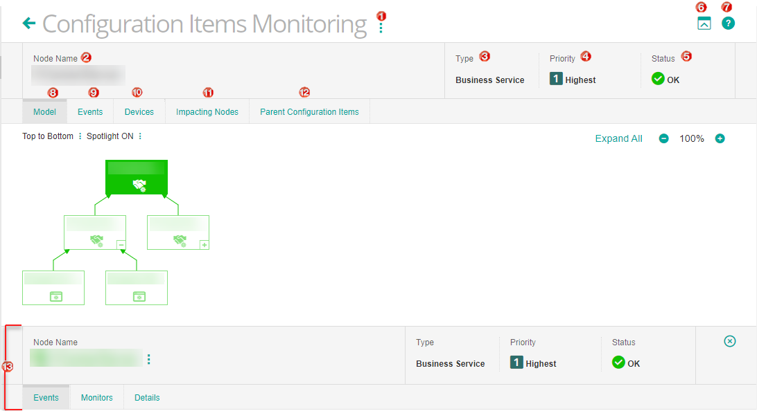 Configuration Item Monitoring page